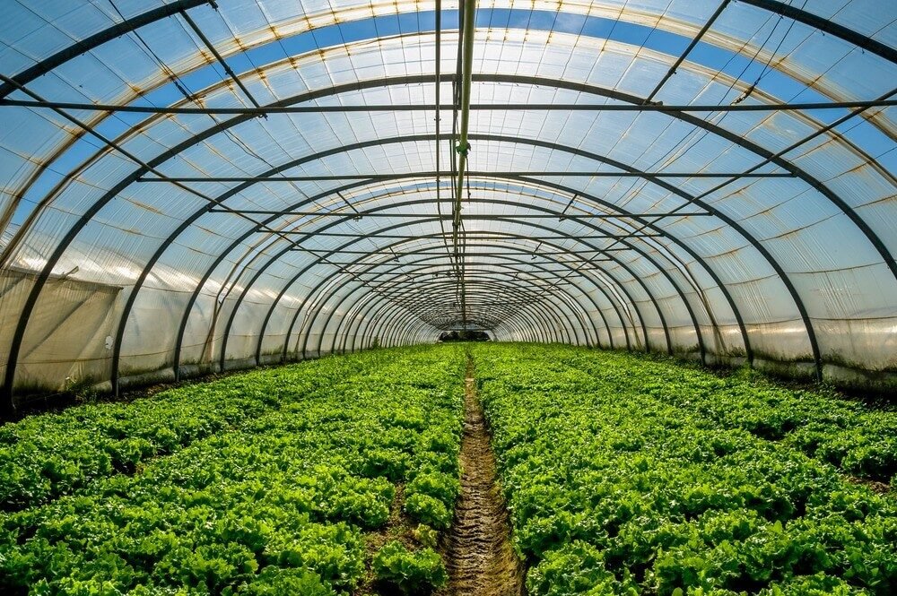 Horticulture
